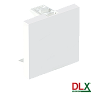 Capac fals pentru aparataj 45x45 mm (2 module) - DLX DLX-245-48 Capac fals pentru aparataj 45x45 mm (2 module) - DLX DLX-245-48