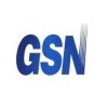 GSN Electronic Company