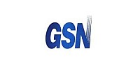 GSN Electronic Company