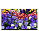 Monitor ultra-slim LED, 4K UHD, 43, HDMI, DP, Audio 2x5W - UNV MW3243-F-V – UNIVIEW MW3243-F-V
