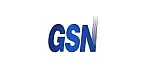 GSN Electronic Company