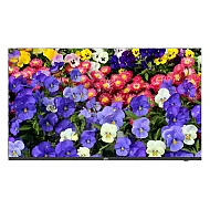 Monitor ultra-slim LED, 4K UHD, 43'', HDMI, DP, Audio 2x5W - UNV MW3243-F-V