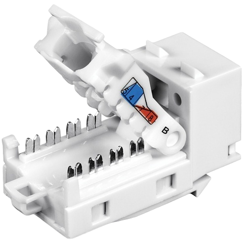 TRENDnet TC-K25C6-25buc – Set 25 buc. Keystone Jack Cat.6 tool-less, alb - TRENDnet TC-K25C6-25buc Set 25 buc. Keystone Jack Cat.6 tool-less, alb - TRENDnet TC-K25C6-25buc – TRENDnet TC-K25C6-25buc